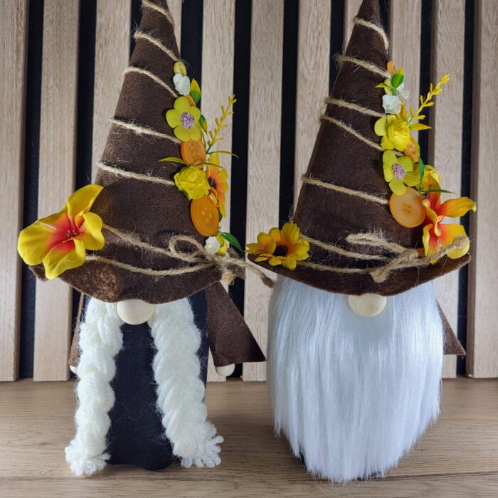 Couple de grands gnomes