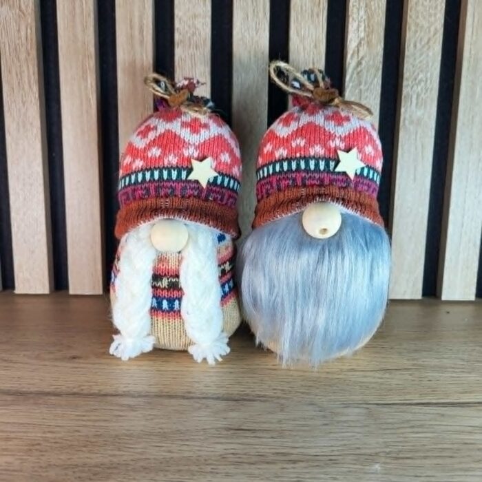 Couple de petits gnomes