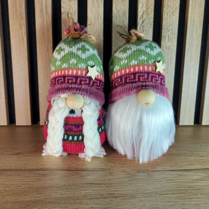 Couple de petits gnomes