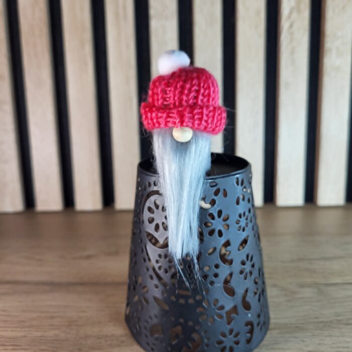 Mini gnome
