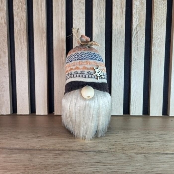Petit gnome